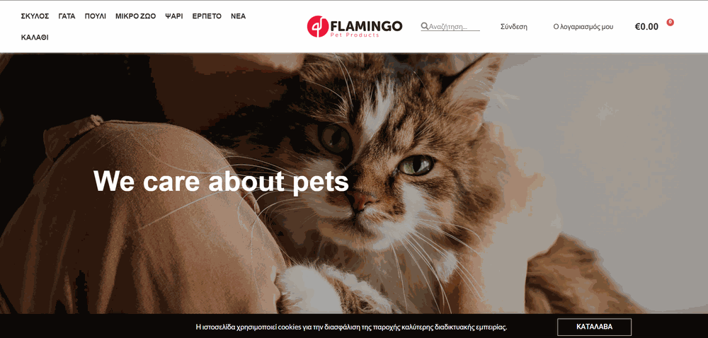 Portfolio Website