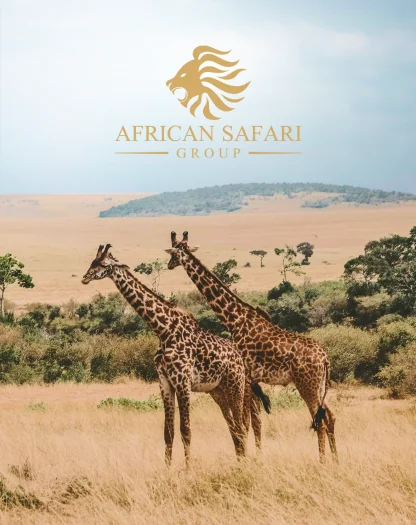 African-Safari-Back